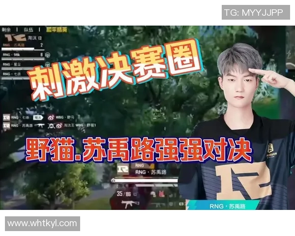和平精英RNG比赛经验引发热议玩家观点分歧引关注